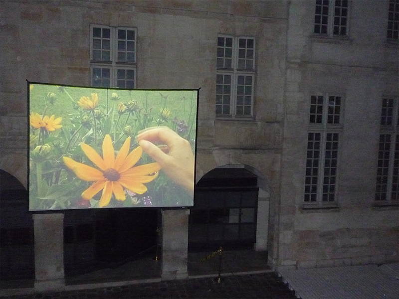 Désirella, nuit blanche, paris, musée Cognacq-Jay, versaille,paysage, jardin